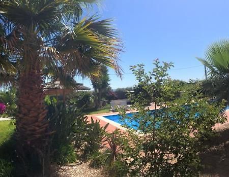 Quinta Das Amendoeiras B&B Nora  Dış mekan fotoğraf