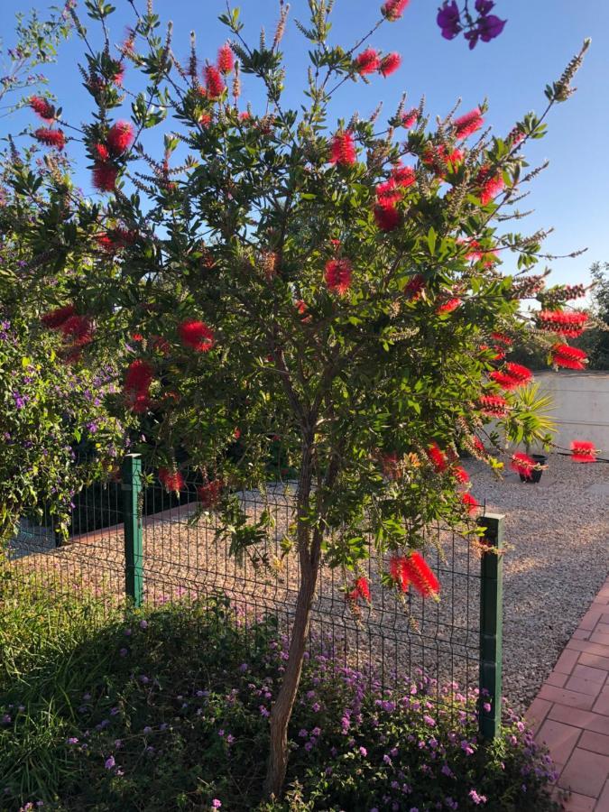 Quinta Das Amendoeiras B&B Nora  Dış mekan fotoğraf