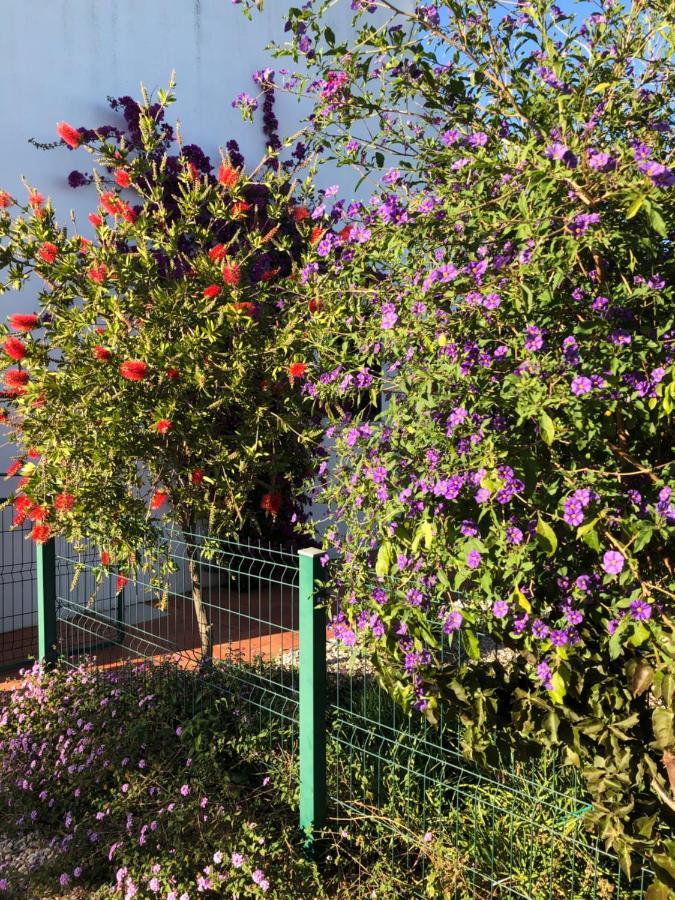 Quinta Das Amendoeiras B&B Nora  Dış mekan fotoğraf
