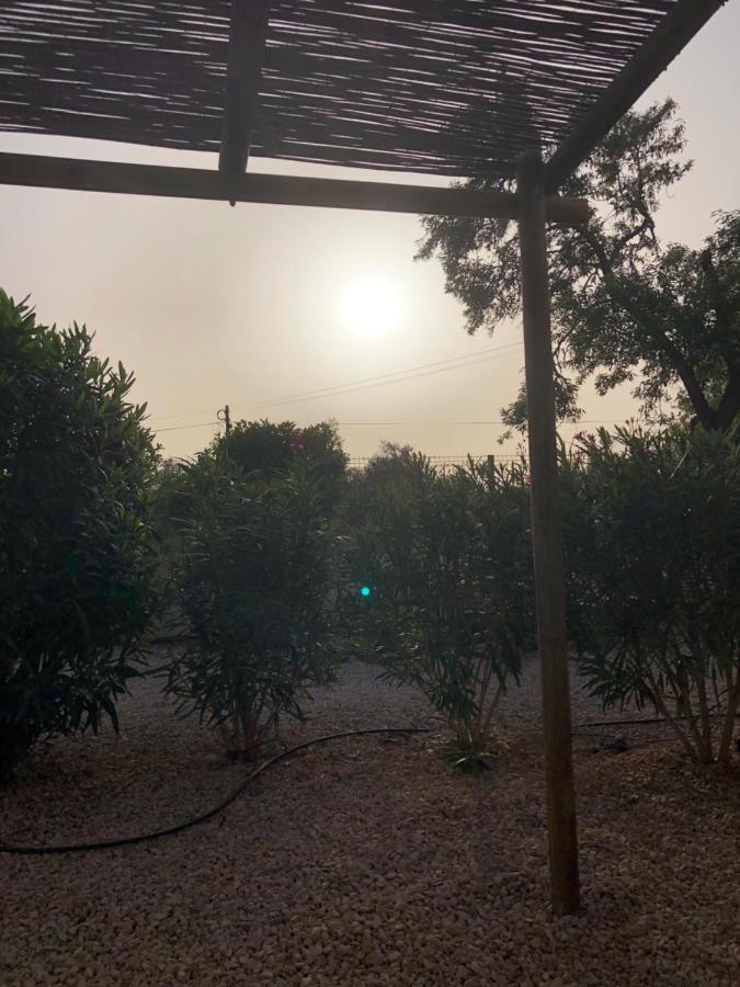 Quinta Das Amendoeiras B&B Nora  Dış mekan fotoğraf